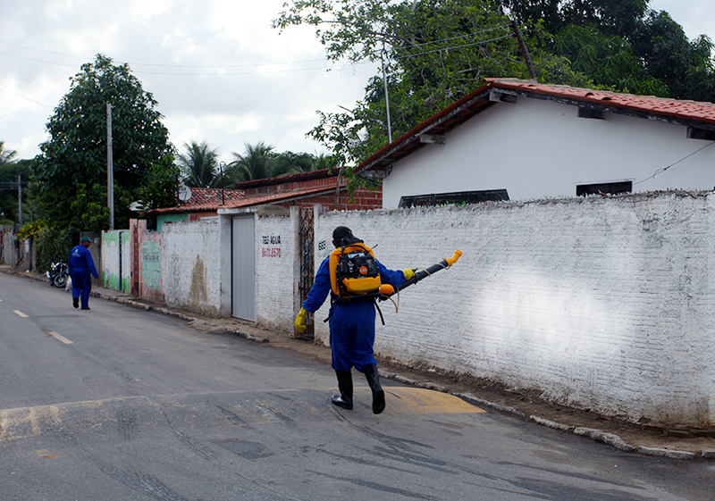 Dengue: Eusébio conclui 2016 com o menor número de casos da Regional de Saúde