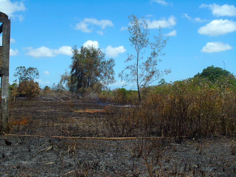 Prefeitura de Eusébio alerta que queimada é crime ambiental e pode gerar detenção e multa