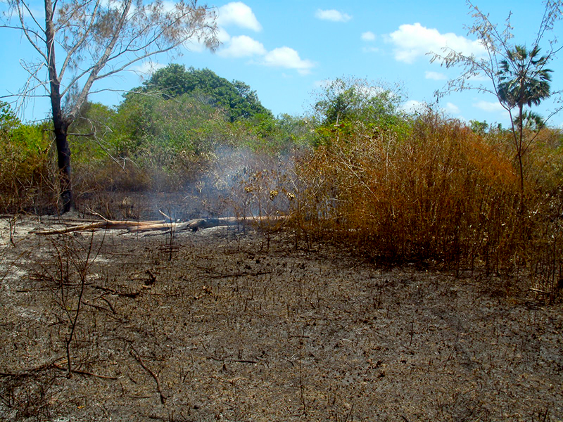 AMMA alerta sobre riscos de queimadas durante a “temporada dos ventos”