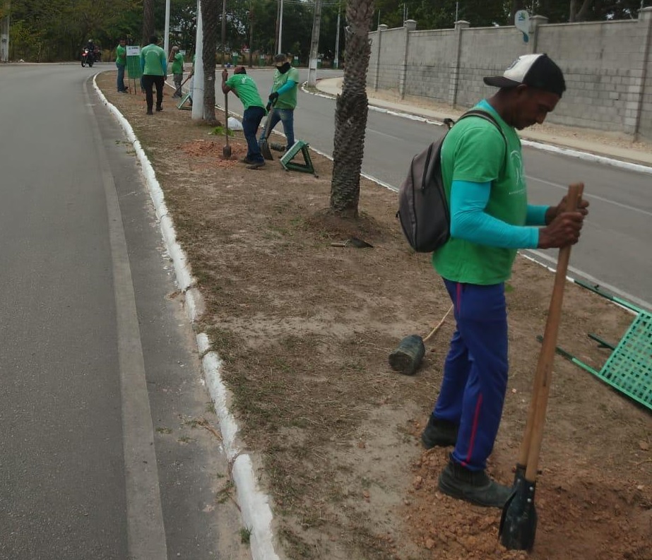 AMMA realiza arborização na Avenida Parnamirim