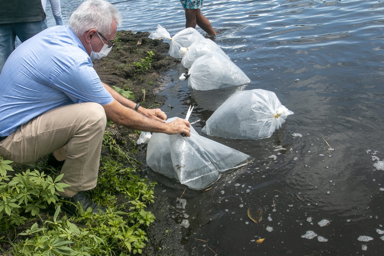 AMMA realiza ação de peixamento na Lagoa das Guaribas