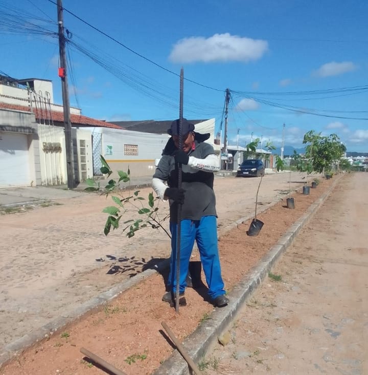 AMMA realiza plantio de mudas no bairro Coité