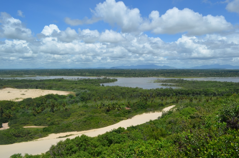 Prefeitura de Eusébio apoia realização de Pesquisa Ecológica no estuário do Rio Pacoti