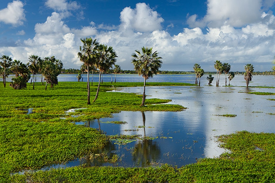 Prefeitura de Eusébio cria Área de Proteção Ambiental da Lagoa da Precabura