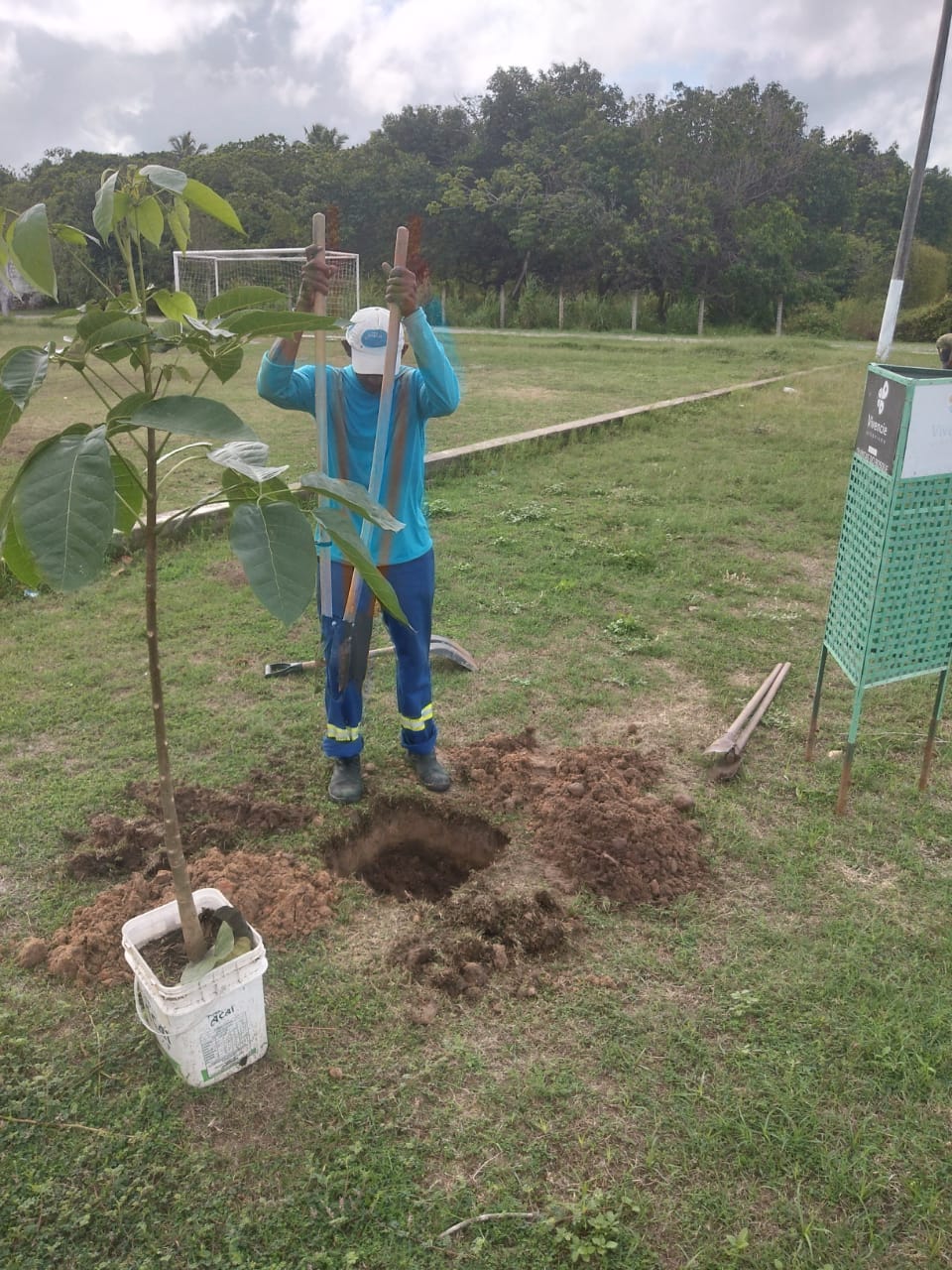 AMMA realiza plantio e replantio de mudas nos espaços públicos de Eusébio